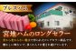 【昔ながらのロングセラー商品】プレスハム ブロック 370g×3本 /宮地ハム [UBM020]