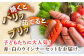 【12回定期便】ウインナー 赤白7袋セット（赤ウインナー 130g×3袋・白ウインナー 130g×4袋）/宮地ハム [UBM03