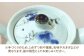 【有田焼】ポット型急須 ぶどう /やきもの工房 成 [UDU005]