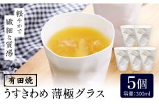 【有田焼】うすきわめ 薄極グラス 5客 /やきもの工房 成 [UDU038]