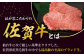 【6回定期便】A5等級 佐賀牛 サーロインステーキ 600g（200g×3枚）/ナチュラルフーズ [UBH107]