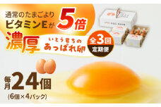 【3回定期便】いとう君ちのあっぱれ卵 24個（6個×4パック）ギフトBOX /いとう養鶏場 [UAQ009]