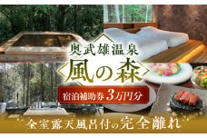 奥武雄温泉 風の森　宿泊補助券 3万円分 /奥武雄温泉 風の森 [UEC001] 宿泊券 旅行券 ホテル宿泊券 旅館宿泊券 温泉宿泊券 体験チケット 日本旅行 食事券 商品券 温泉 家族旅行 ペア宿泊 カップル旅行 リゾート 貸切風呂 ふるさと納税 観光 ふるさと納税 旅行 ふるさと納税 チケット 武雄市 ホテル 旅館 武雄温泉 宿泊券 御宿 宿泊補助券 武雄