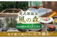 奥武雄温泉 風の森　宿泊補助券 4万5000円分 /奥武雄温泉 風の森 [UEC002] 宿泊券 宿泊 チケット 旅行 宿泊券 旅行券 ホテル宿泊券 旅館宿泊券 温泉宿泊券 体験チケット 日本旅行 食事券 商品券 温泉 家族旅行 ペア宿泊 カップル旅行 リゾート 貸切風呂 ふるさと納税 観光 ふるさと納税 旅行 ふるさと納税 チケット 武雄市 ホテル 旅館 武雄温泉 宿泊券 御宿 宿泊補助券 武雄