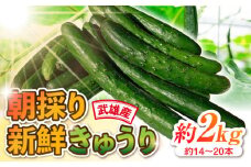 朝採り新鮮きゅうり 約2kg（約14～20本）/株式会社 y's company（utsu和ya） [UDX001]