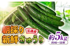 朝採り新鮮きゅうり 約5kg（約40～50本）/株式会社 y's company（utsu和ya） [UDX002]