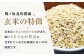 栽培期間中農薬不使用 令和7年産 佐賀県産ゆうだい21 玄米5kg /鶴ノ原北川農園 [UDL024]
