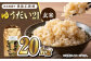栽培期間中農薬不使用 令和6年産 佐賀県産ゆうだい21 玄米20kg /鶴ノ原北川農園 [UDL026]