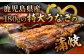 【12回定期便】国産 本格炭火焼 特大 うなぎ 蒲焼 4尾（180g×4尾）/炭火焼古賀 [UDH046]