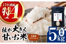 【15年連続特A評価】武雄市産 さがびより 5kg /株式会社 y's company（utsu和ya） [UDX016]