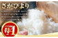 【15年連続特A評価】武雄市産 さがびより 10kg（5kg×2袋） /株式会社 y's company（utsu和ya） [U