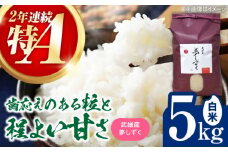 【特A評価獲得】武雄市産 夢しずく 5kg /株式会社 y's company（utsu和ya） [UDX019]