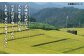 【特A評価獲得】武雄市産 夢しずく 5kg /株式会社 y's company（utsu和ya） [UDX019]