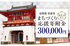 【応援寄附金】佐賀県武雄市 まちづくり応援寄附金 返礼品なし（300,000円分） [UZZ110]
