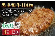 【6回定期便】黒毛和牛100％ 手ごねハンバーグ 120g×4個 しょうゆソース付 /フレンチキッチン プルミエ [UCF013]