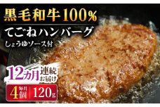 【12回定期便】黒毛和牛100％ 手ごねハンバーグ 120g×4個 しょうゆソース付 /フレンチキッチン プルミエ [UCF014]
