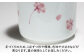 【有田焼】白磁　桜 一夜漬け器 重石付き 容量450ml /やきもの工房 成 [UDU075]