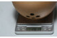 【有田焼】ニンニク・しょうがポット /やきもの工房 成 [UDU076]