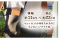 【茶色】携帯入れ小型ショルダー /BagShop36 [UAC030]