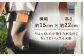 【チョコ色】携帯入れ小型ショルダー /BagShop36 [UAC030]
