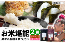 【特A評価獲得】武雄市産　さがびより・夢しずく 2種食べ比べ 10kg（5kg×2種）/株式会社 y’s company（utsu和ya） [UDX021]