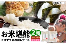 【特A評価獲得】武雄産米 2種お試し食べ比べセット さがびより・夢しずく 3合(450g)×2袋 /株式会社 y’s company（utsu和ya） [UDX022]