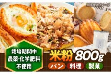米粉専用「ミズホチカラ」使用 武雄産米粉 800g（栽培期間中農薬・化学肥料不使用）/株式会社 y’s company（utsu和ya） [UDX023]