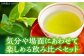 うれしの茶ティーバッグ 3種飲み比べ（緑茶・ほうじ茶・紅茶 各1袋） /有限会社 原製茶園 [UEJ005]