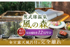 【連泊向け】奥武雄温泉 風の森　宿泊補助券 12万円分 /奥武雄温泉 風の森 [UEC007] 宿泊券 旅行券 ホテル宿泊券 旅館宿泊券 温泉宿泊券 体験チケット 日本旅行 食事券 商品券 温泉 家族旅行 ペア宿泊 カップル旅行 リゾート 貸切風呂 ふるさと納税 観光 ふるさと納税 旅行 ふるさと納税 チケット 武雄市 ホテル 旅館 武雄温泉 宿泊券 御宿 宿泊補助券 武雄