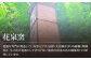 【花泉窯】有田焼 抹茶碗（木箱付） 全7色 [UAU003] 陶器 焼き物 やきもの 茶碗 器