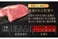佐賀牛入り生ハンバーグ 牛肉 佐賀牛 冷凍 国産 牛肉 ハンバーグ 牛肉