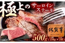 佐賀牛 サーロインステーキ 500g（250g×2枚） /MKミート武雄 [UEM020] サーロイン ステーキ さーろいん すてーき ステーキ肉 すてーき肉 牛肉 国産 ブランド 和牛