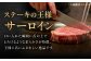 佐賀牛 サーロインステーキ サーロイン ステーキ ステーキ肉 すてーき肉 牛肉 国産 ブランド 和牛