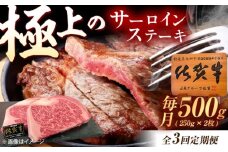 【3回定期便】佐賀牛 サーロインステーキ 500g（250g×2枚） /MKミート武雄 [UEM021] サーロイン ステーキ さーろいん すてーき ステーキ肉 すてーき肉 牛肉 国産 ブランド 和牛