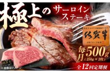 【12回定期便】佐賀牛 サーロインステーキ 500g（250g×2枚） /MKミート武雄 [UEM023] サーロイン ステーキ さーろいん すてーき ステーキ肉 すてーき肉 牛肉 国産 ブランド 和牛