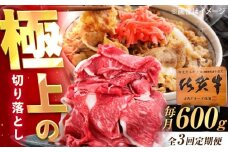 【3回定期便】佐賀牛 切り落とし 600g /MKミート武雄 [UEM031]