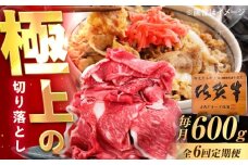 【6回定期便】佐賀牛 切り落とし 600g /MKミート武雄 [UEM032]