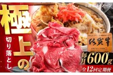 【12回定期便】佐賀牛 切り落とし 600g /MKミート武雄 [UEM033]