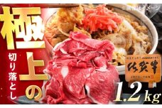 佐賀牛 切り落とし 1.2kg（600g×2p） /MKミート武雄 [UEM034]