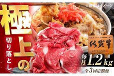 【3回定期便】佐賀牛 切り落とし 1.2kg（600g×2p） /MKミート武雄 [UEM035]