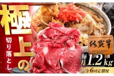 【6回定期便】佐賀牛 切り落とし 1.2kg（600g×2p） /MKミート武雄 [UEM036]