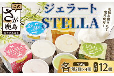 B-30 牧場直送！食べ比べ|しぼりたて生乳|極上ジェラートSTELLA8個|120g×8個|ミルク 抹茶 いちご きなこ4種×2個| 厳選素材 アイス プレゼント 贈り物 お中元 お歳暮 ご自宅用 美味しい贅沢 絶品 上質 佐賀県 鹿島市 冷凍 送料無料 