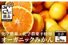 【先行予約】 オーガニック みかん 約5kg 有機栽培 国産 B-70