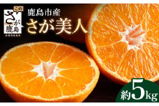 【さが美人 みかん 約5kg】 温州みかん フルーツ 果物 ギフト 贈答 ミカン 蜜柑 柑橘 くだもの 果実 国産 佐賀県 鹿島市 ふるさと 人気 送料無料 【10月下旬～12月頃発送予定】 B-67