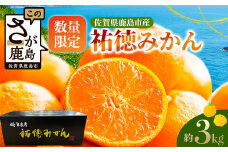 B-100【数量限定】みかん 約3kg 化粧箱入り 祐徳みかん | ふるさと納税 温州みかん フルーツ 果物 ギフト 贈答 ミカン 蜜柑 柑橘 くだもの 果実 国産 佐賀県 鹿島市 ふるさと 人気 送料無料 【10月下旬～12月頃発送予定】