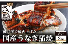 D-6 うなぎの蒲焼　２尾入り