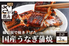 E-5 うなぎの蒲焼　３尾入り