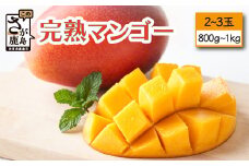生産者直送 濃厚完熟 まっちゃん マンゴー 2～3玉 800g～1kg程度【2024年5月中旬頃から6月初旬発送】 フルーツ 果物 まんごー ふるさと納税 佐賀県 鹿島市 B-118