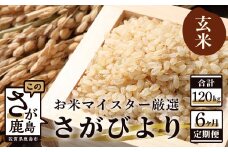 R-2 《6ヶ月定期便》鹿島市産さがびより　玄米（毎月２０ｋｇ×６回）
