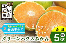 C-2 【先行予約】 グリーンハウスみかん　5ｋｇみかん 蜜柑 ミカン ハウスみかん フルーツ 果物 くだもの 果実 冷蔵 フレッシュ 美味しい 人気 ビタミンC 健康 甘み 酸味 完熟 佐賀県 鹿島市 送料無料【2025年7月中旬～8月末まで発送予定】